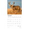 Monster Bucks | 2026 12 x 24 Inch (Hanging) Monthly Square Wall Calendar | Plastic-Free | BrownTrout | Wildlife Animals Hunting